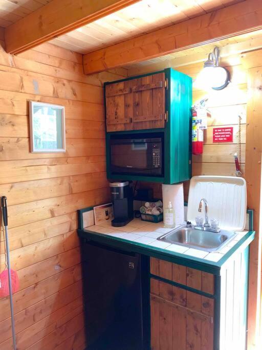 Honeybear Hideaway Cabin Hayward Exterior photo